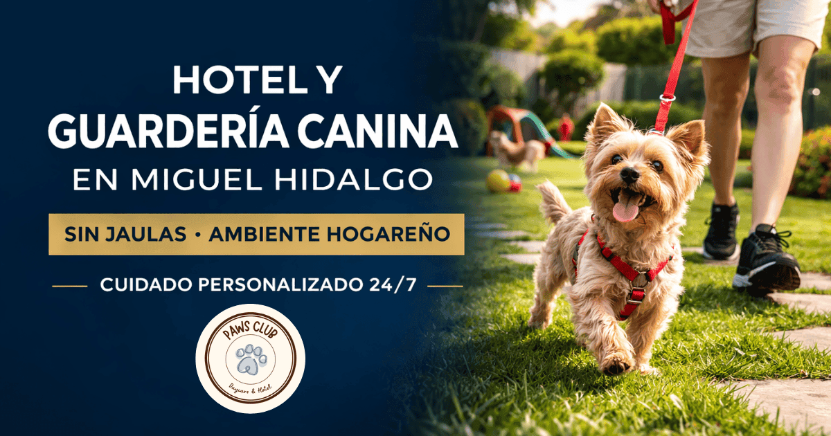 Paws Club Poniente — Hotel y guardería canina en Miguel Hidalgo